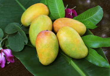 Indian-mangoes-in-the-US