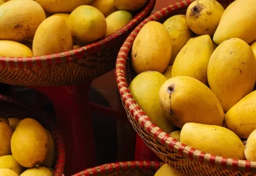 mangoes_what_to_know_1296x728_header-1024x575